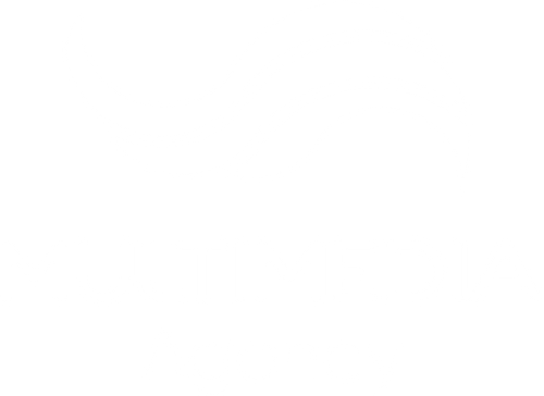 Multimedia Agency